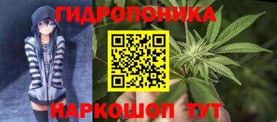 сатива Волгодонск