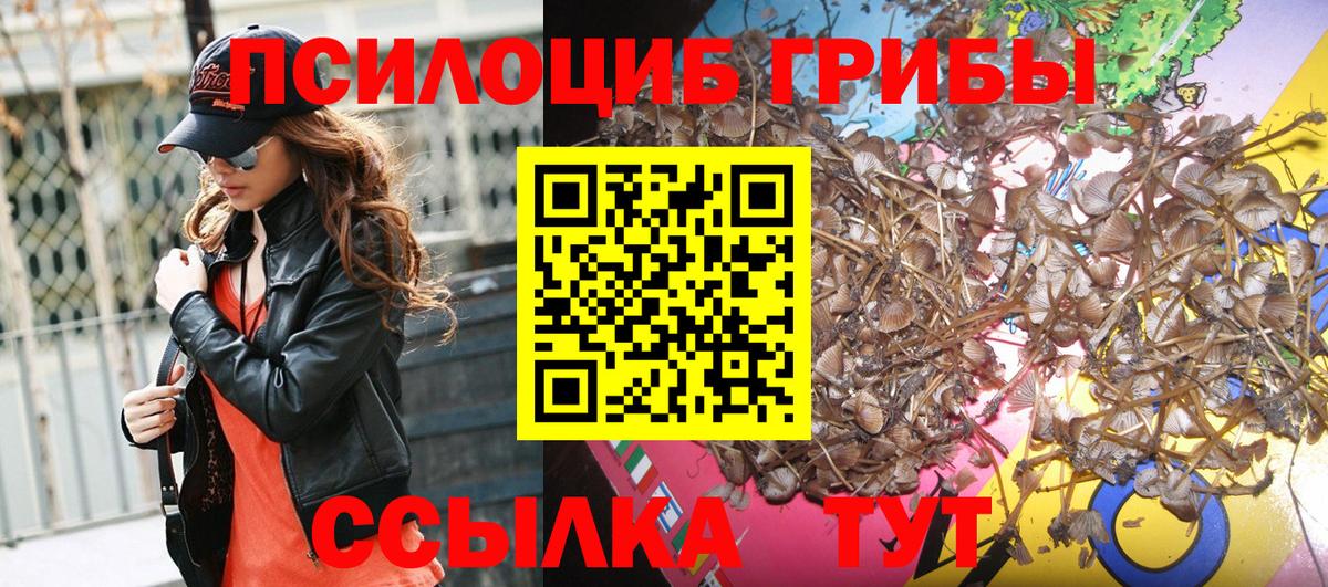 Галлюциногенные грибы Magic Shrooms Самара