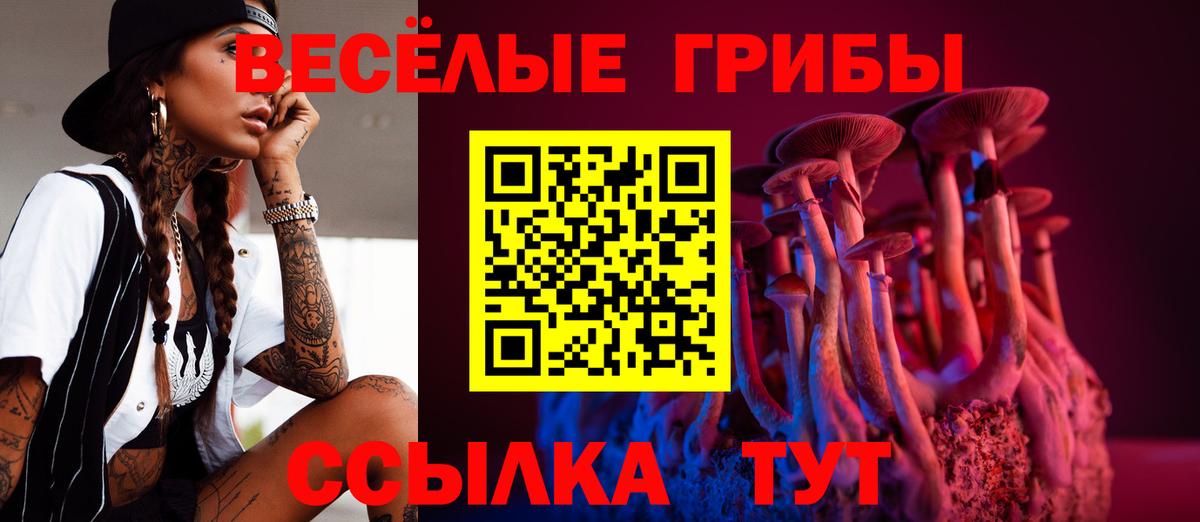 Галлюциногенные грибы ЛСД  Вход с VPN  Галлюциногенные грибы мухоморы  Самара 